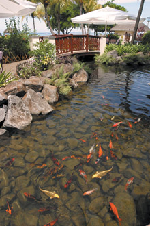 Hilton Mauritius Resort & Spa