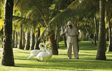 One&Only Le Saint Geran