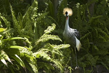 One&Only Le Saint Geran