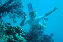 Desroches Island Resort