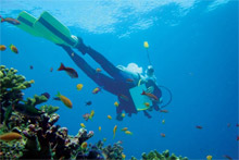 Desroches Island Resort