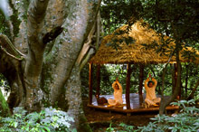 Le Meridien Abu Dhabi