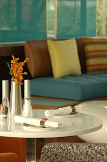 Per aquum Desert Palm