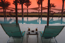 Per aquum Desert Palm