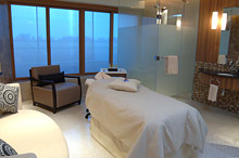 Per aquum Desert Palm