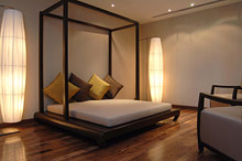 Per aquum Desert Palm