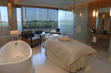 Per aquum Desert Palm