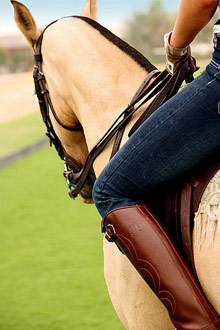 Per aquum Desert Palm