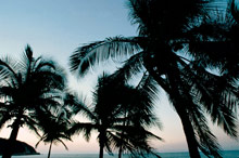 The Fairmont Pierre Marques