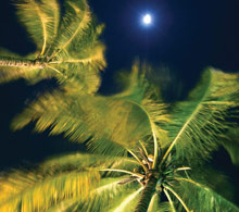 The Fairmont Pierre Marques