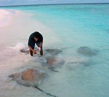 Banyan Tree Vabbinfaru