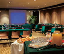 The Fairmont Acapulco Princess