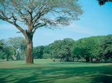 The Fairmont Acapulco Princess