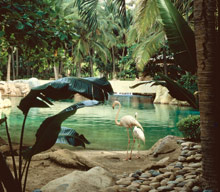 The Fairmont Acapulco Princess