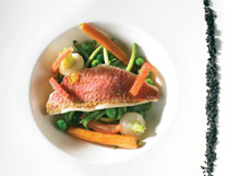 Fairmont Monte Carlo