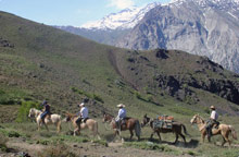 The Ritz-Carlton Santiago