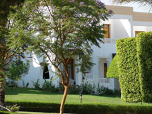 Club Reef Hotel(ex.Club Reef)