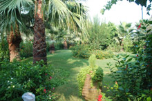 Aska Just in Beach (ex.Aska Justiniano Beach)