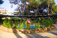 Aska Costa Holiday Club