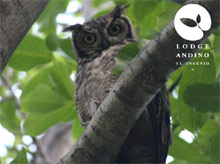 Lodge Andino El Ingenio