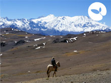 Lodge Andino El Ingenio