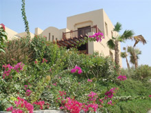 The Cove Rotana Resort