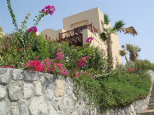 The Cove Rotana Resort