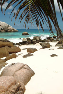 Cousine Island Resort