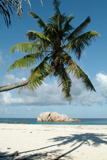 Cousine Island Resort