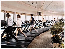 Navigator of the Seas