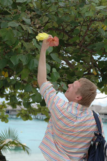 Sofitel Moorea Ia Ora Beach Resort