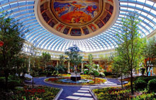 Iberostar Grand Hotel Paraiso