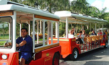 Iberostar Paraiso del Mar