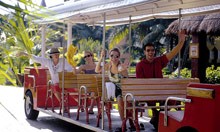 Iberostar Paraiso Beach