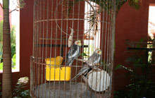 Zoetry Paraiso de la Bonita Riviera Maya