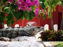 Zoetry Paraiso de la Bonita Riviera Maya