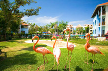 Occidental Grand Xcaret