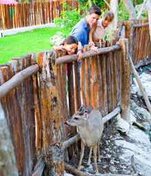 Occidental Grand Xcaret
