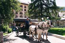 Grand Hotel Zermatterhof