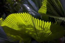 Le Meridien Shimei Bay Beach Resort & Spa