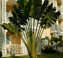 Royal Hideaway Playacar