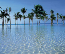 Royal Hideaway Playacar