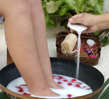 Royal Hideaway Playacar