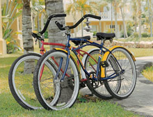 Royal Hideaway Playacar