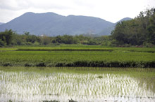 Sheraton Sanya Resort