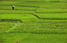 Sheraton Sanya Resort
