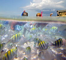 El Dorado Seaside Suites by Karisma