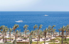 Grand Rotana Resort & Spa