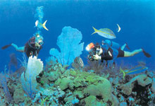 The Shanhaitian Resort Sanya Autograph Collection(ex. Sanya Shanhaitian)