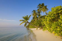 LUX* South Ari Atoll (ex.LUX* Maldives)